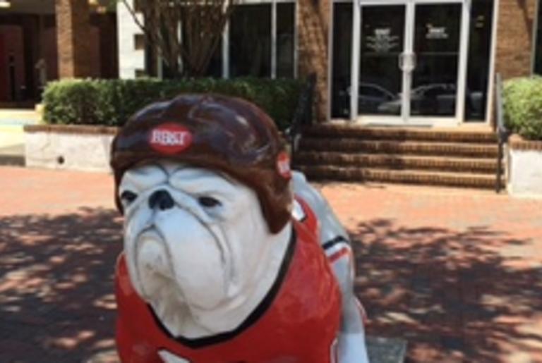 BB&T Dawg