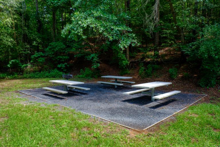 Ben Burton Park Picnic Area