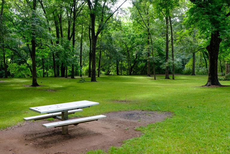 Dudley Park Field