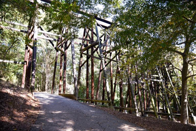 Dudley Park Trestle