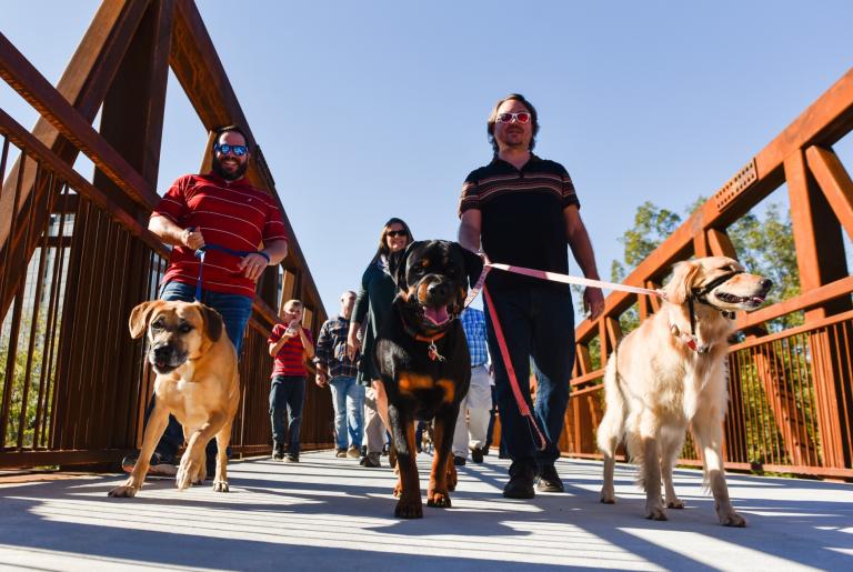 Firefly Trail dog friendly