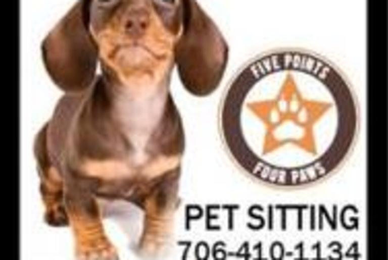 Five Points Four Paws