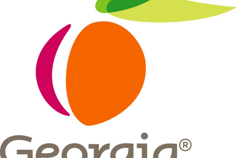 Georgia Department of Economic Development Logo