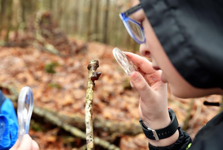 Sandy Creek Nature Center Activity