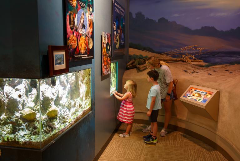 Sandy Creek Nature Center Family Exhibit