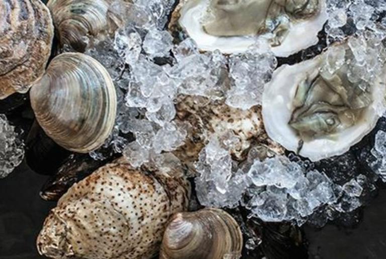 seabear oysters