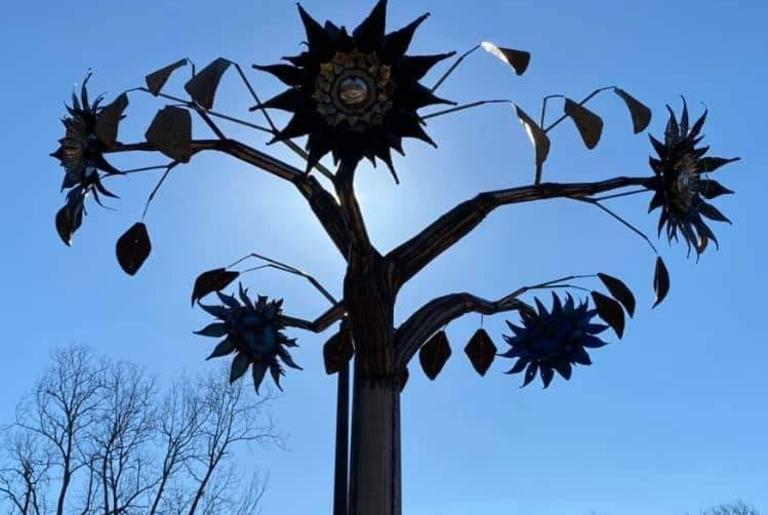 Tree of Oneta