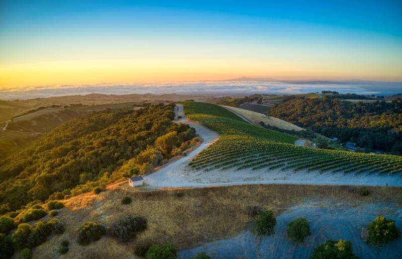 Winery Aerial View