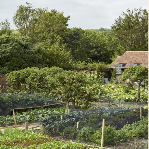 Kitchen Garden, The Pig in the South Downs