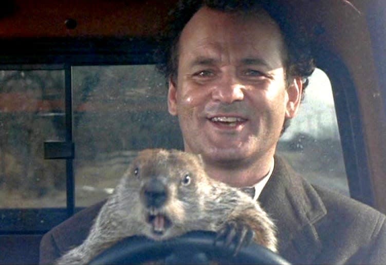 Groundhog Day Driving