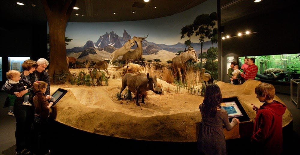 Delaware-Museum-of-Natural-History