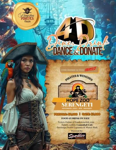 4D Pirates and Wenches
