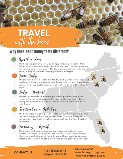 Travel with the Bees