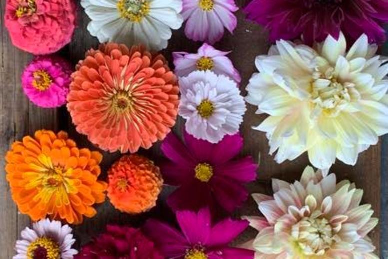 Flowers