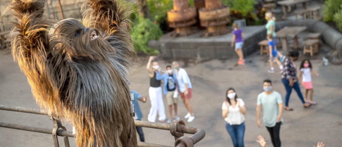 Chewbacca at Star Wars: Galaxy's Edge, Disneyland Resort