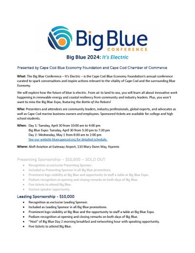 Big Blue 2024 Sponsors page 1