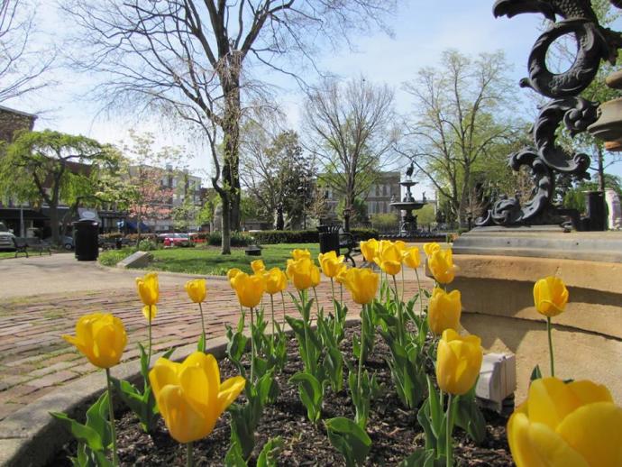 Fountain Square Park in Springtime