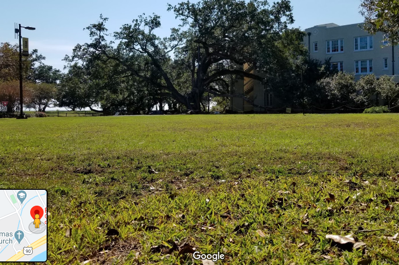 Friendship Oak - Virtual Scavenger Hunt Blog