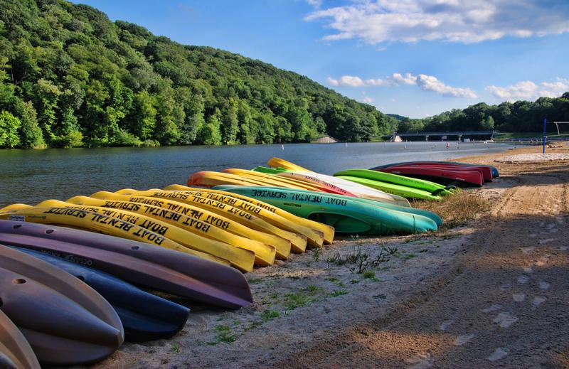Laurel Hill State Park kayaks lined up on the beach
