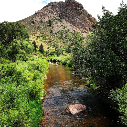 Eagle's Nest Open Space