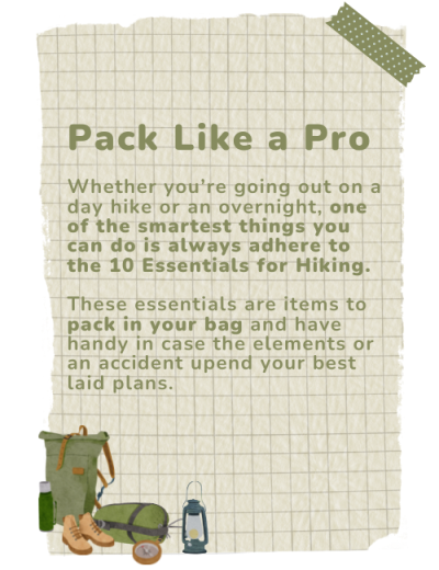 Pack Like a Pro Graphic (Hiking Page)