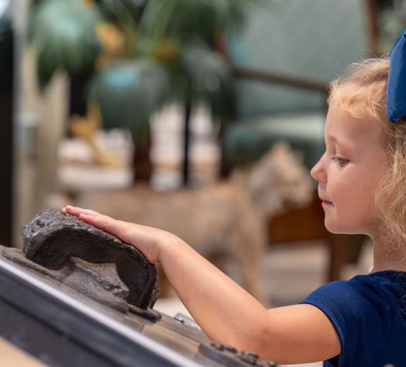 Natural History Museum