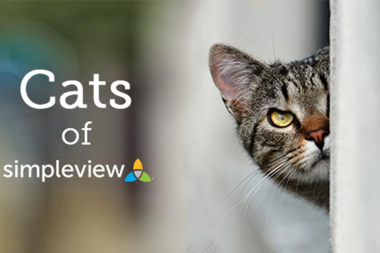 Cats of Simpleview