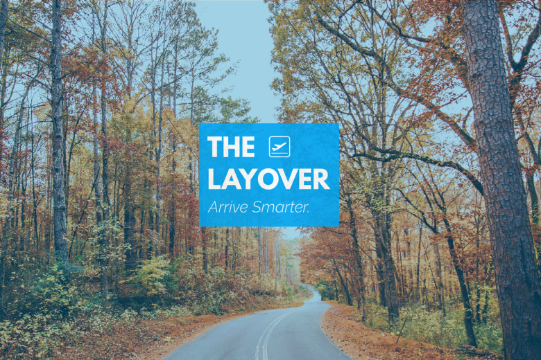 Layover Blog- The State of Fall and Holiday Travel- Nov17