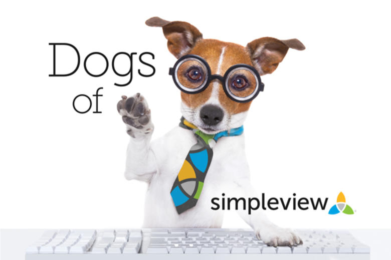 Dog Blog Header