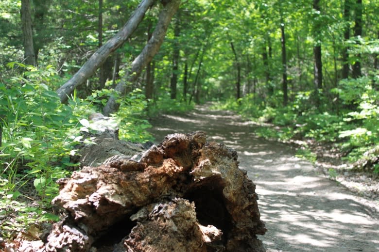 Kaw River Trails 2