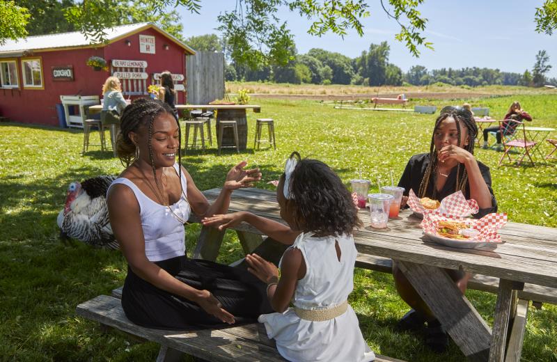 Family meal at Hentze Farms in the Summer A family sits at a picnic table on a farm with food. In the foreground is a woman and a child playing patty-cake. There is a turkey and a barn in the background.