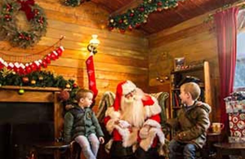 A tree-mendous twist awaits at Alton Towers Resort this Christmas