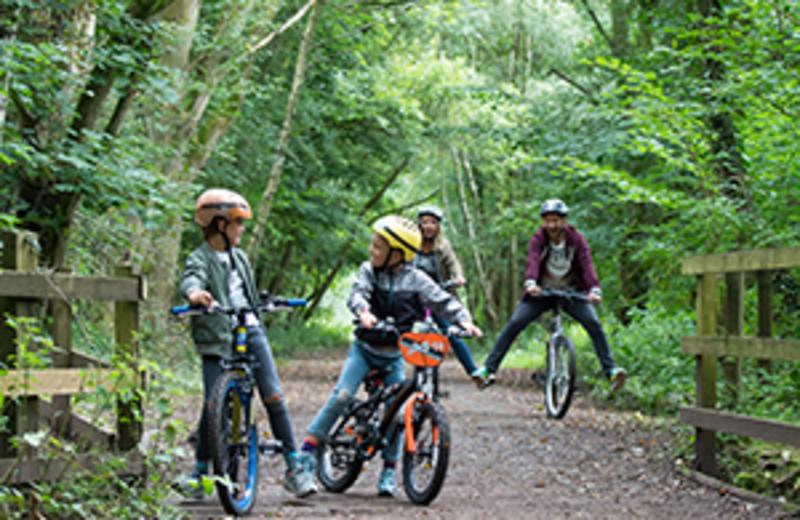 Five Top Tips for Enjoying Half Term in Staffordshire
