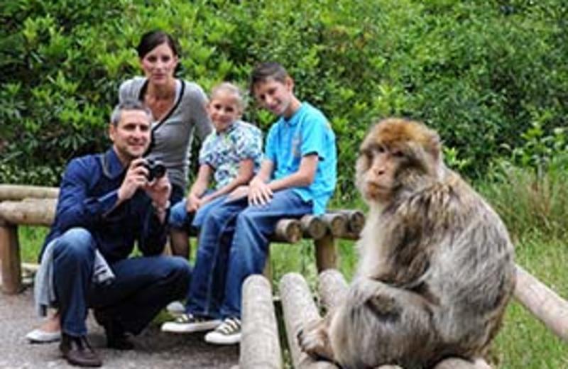 VIDEO: Breakfast with the Monkeys