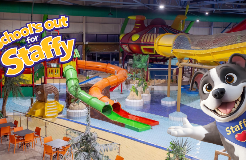 Staffy at Waterworld in Stoke-on-Trent