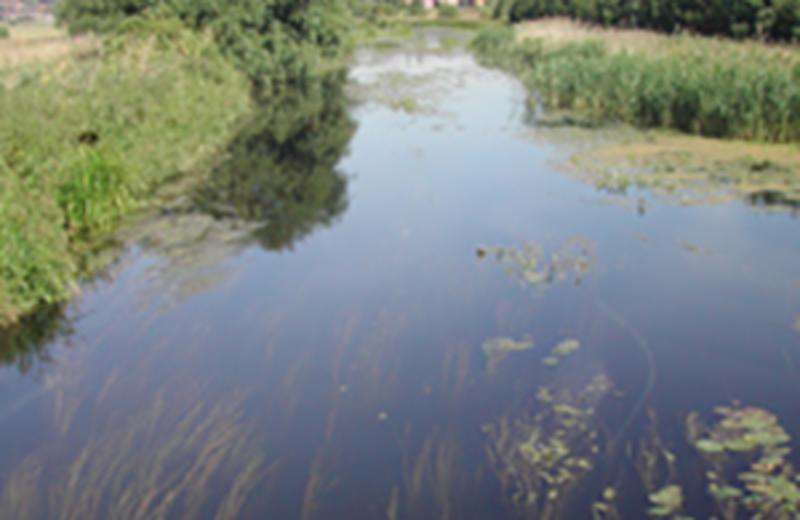 Walks in Staffordshire: Tamworth