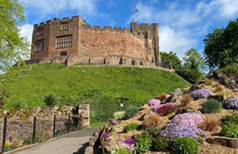 Five Reasons to Visit Tamworth