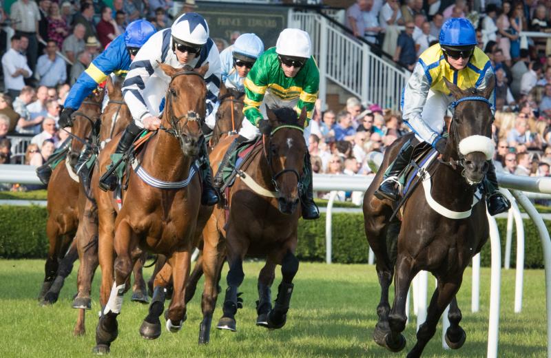 close up of horses racing at Uttoxeter racecourse