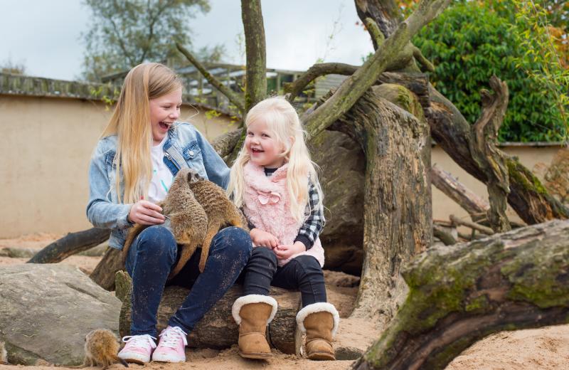 girls meerkat experience