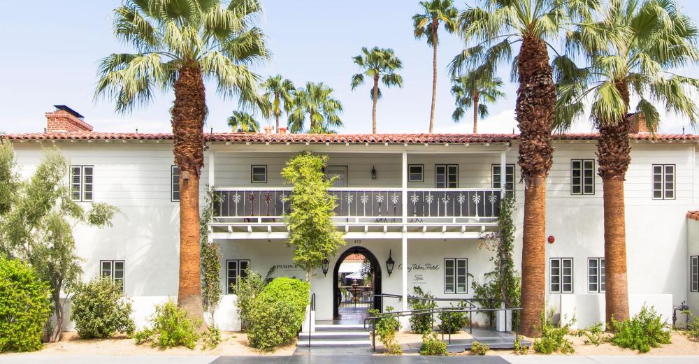 colony palm entry