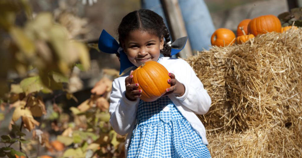 Wild Zoo Halloween Girl