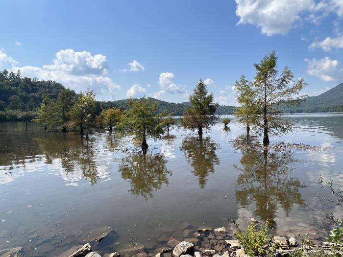 Ocoee