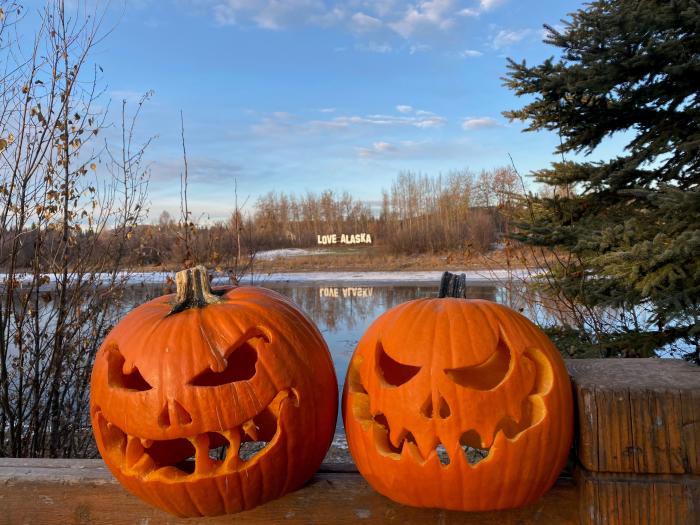 Pumpkin Love Alaska