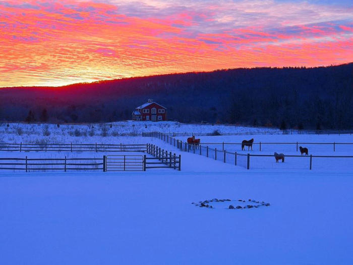 mountain-horse-farm-naples-exterior-sunset-horses