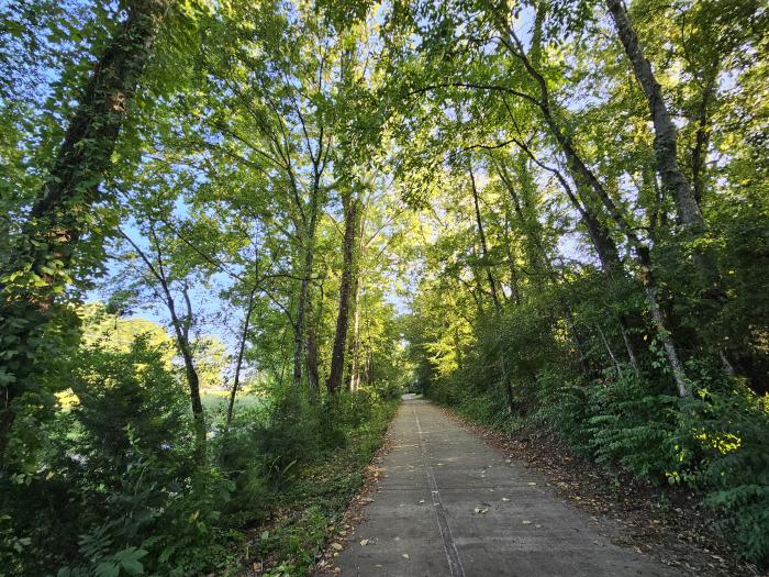 Paved path along Aldridge Creek Greenway winding beneath a canopy of tall trees and lush greenery. Sunlight filters through the leaves, creating a peaceful, shaded setting for walking, running, and biking.