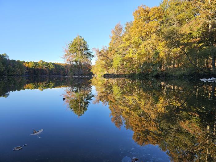 Fall foliage reflecting on the calm lake at Madison County Nature Trail, with golden and orange trees lining the water under a clear blue sky.