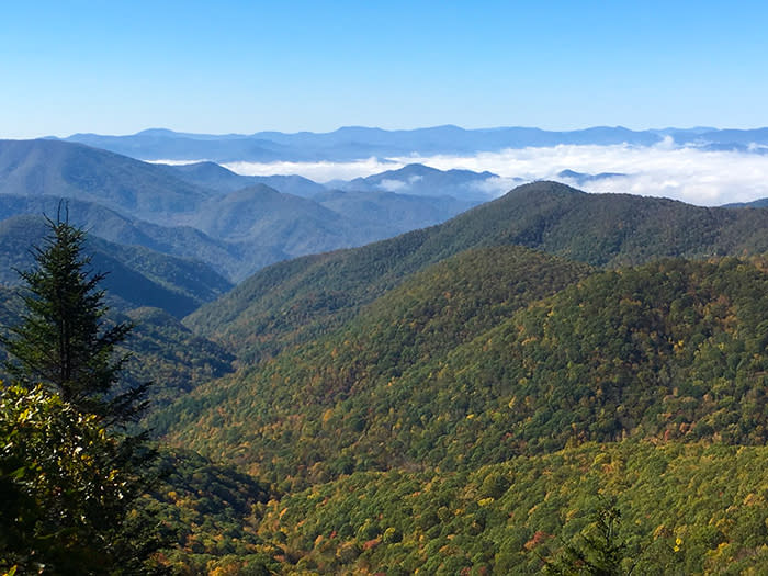 fall_blog_post_image_1_09d0baed-9685-4428-b7c7-a9e66c09ad55
