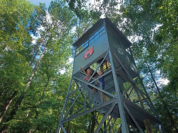 A young girl and a young boy stand in a tower located at Clemmons Educational State Forest so they can see the rest of the trees.