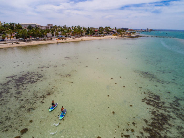 stand up paddle boarding