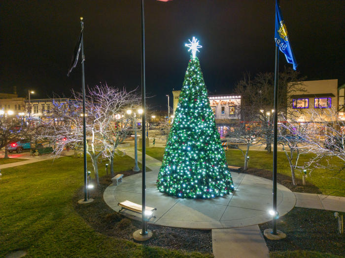 Downtown Christmas Tree 2022